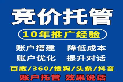 提升网站流量与转化率的关键——关键词竞价排名案例